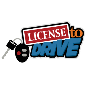 License To Drive SVG scrapbook title driver license svg file learning to drive svg cut file