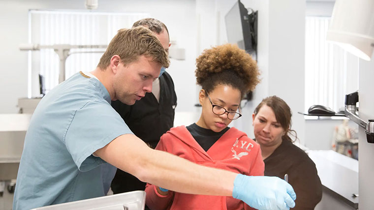 Students working together in lab setting