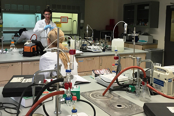 Students in Prof. Leri's Organic Chemistry II lab carry out a microscale hydroboration reaction.