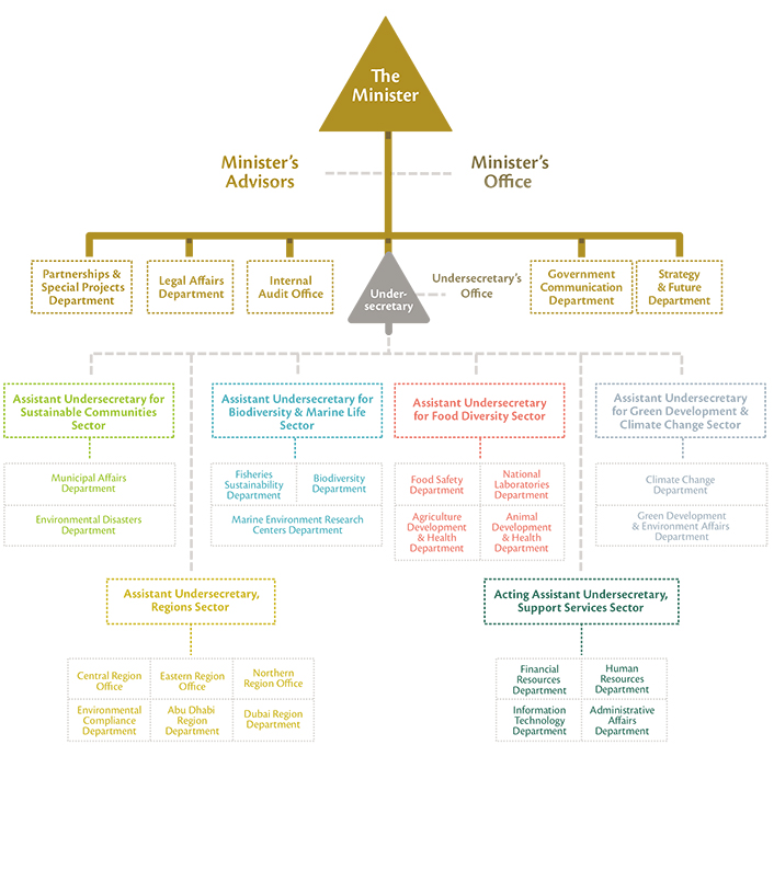 Health Department Organizational Chart