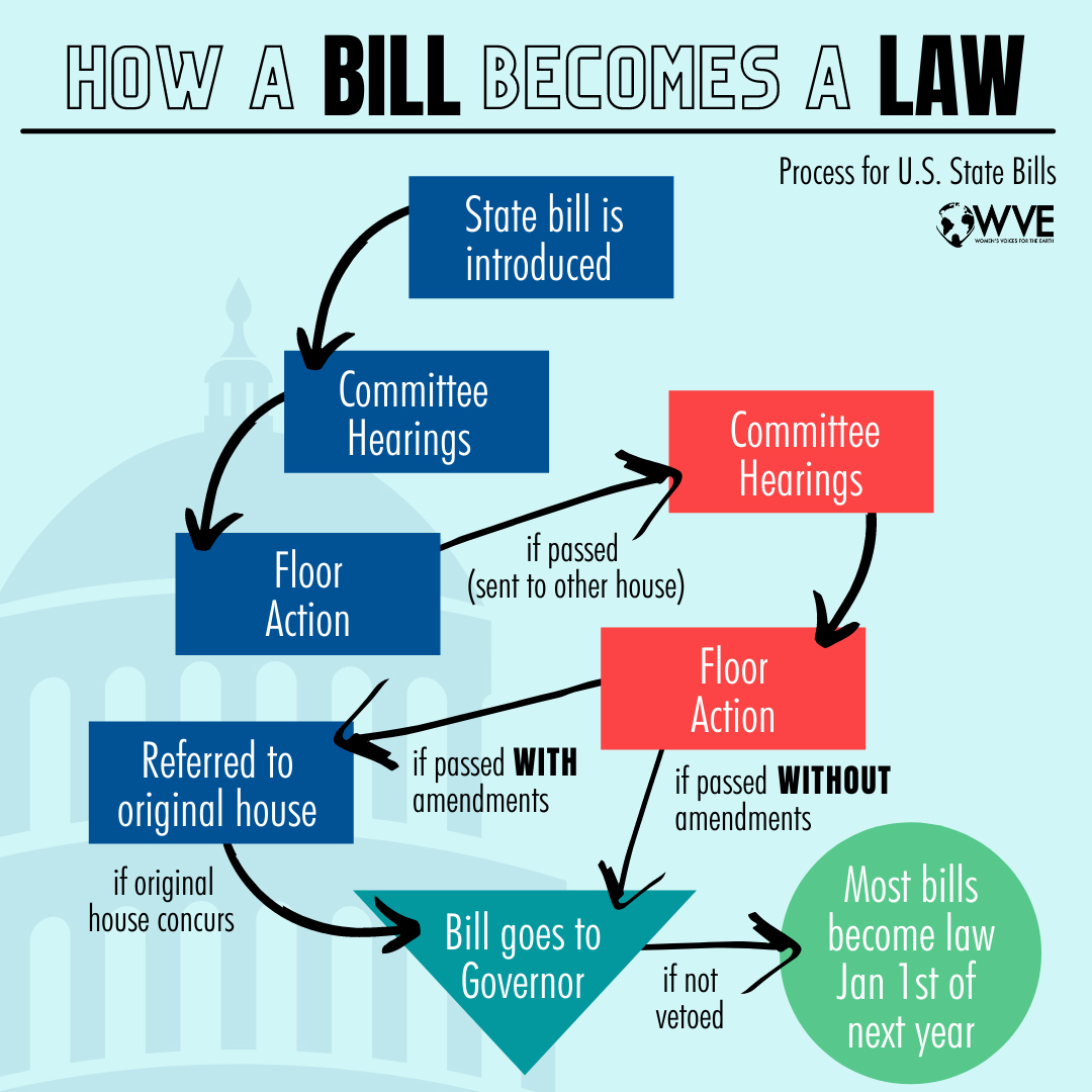 How A Bill Becomes A Law For Kids