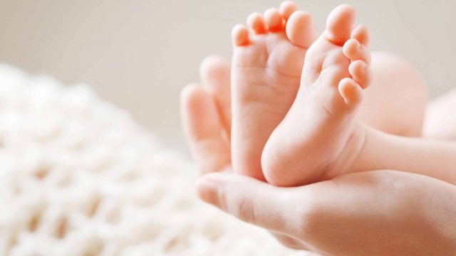 It's easy to see the similarities between an infant's foot and the baby toes succulent.