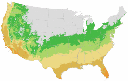 USDA Cold Hardiness Zone Map