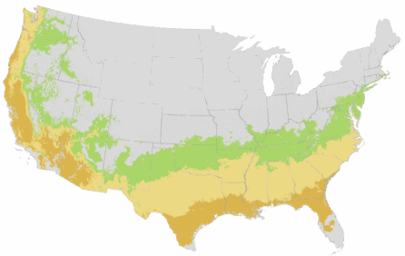 USDA Cold Hardiness Zone Map