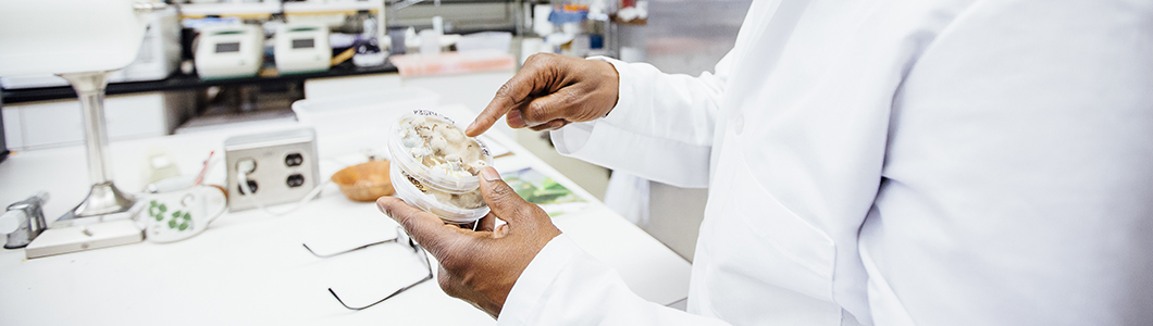 Inside a laboratory, a scientist describes the growth in a petri jar.