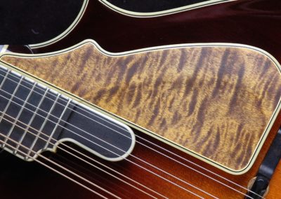 Bruce Weber mandolin armrests, pickguards, harmonic suppressors