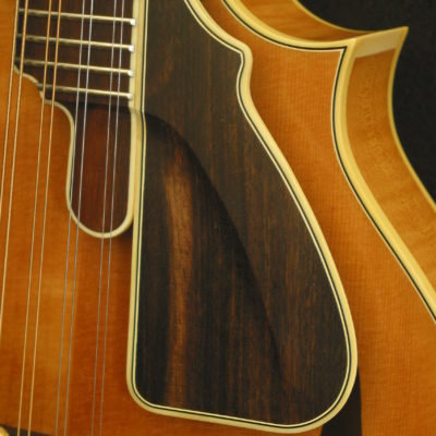 Bruce Weber mandolin armrests, pickguards, harmonic suppressors