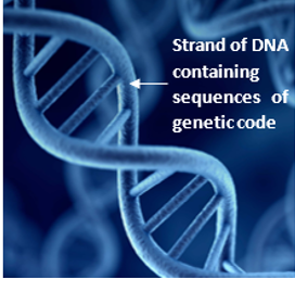 Gene Doping: Fiction or Future? :: Morgan Sports Law