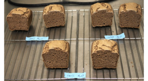 Gluten-Free Bread