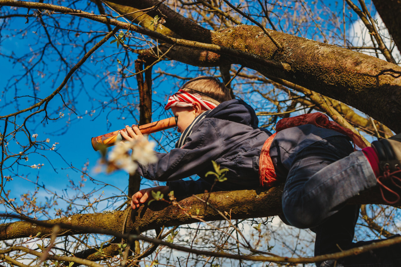 Little boy on a tree looks through binoculars dressed as a pirate