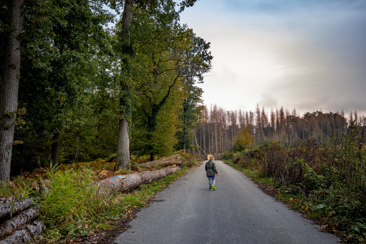 Girl walks in the forest