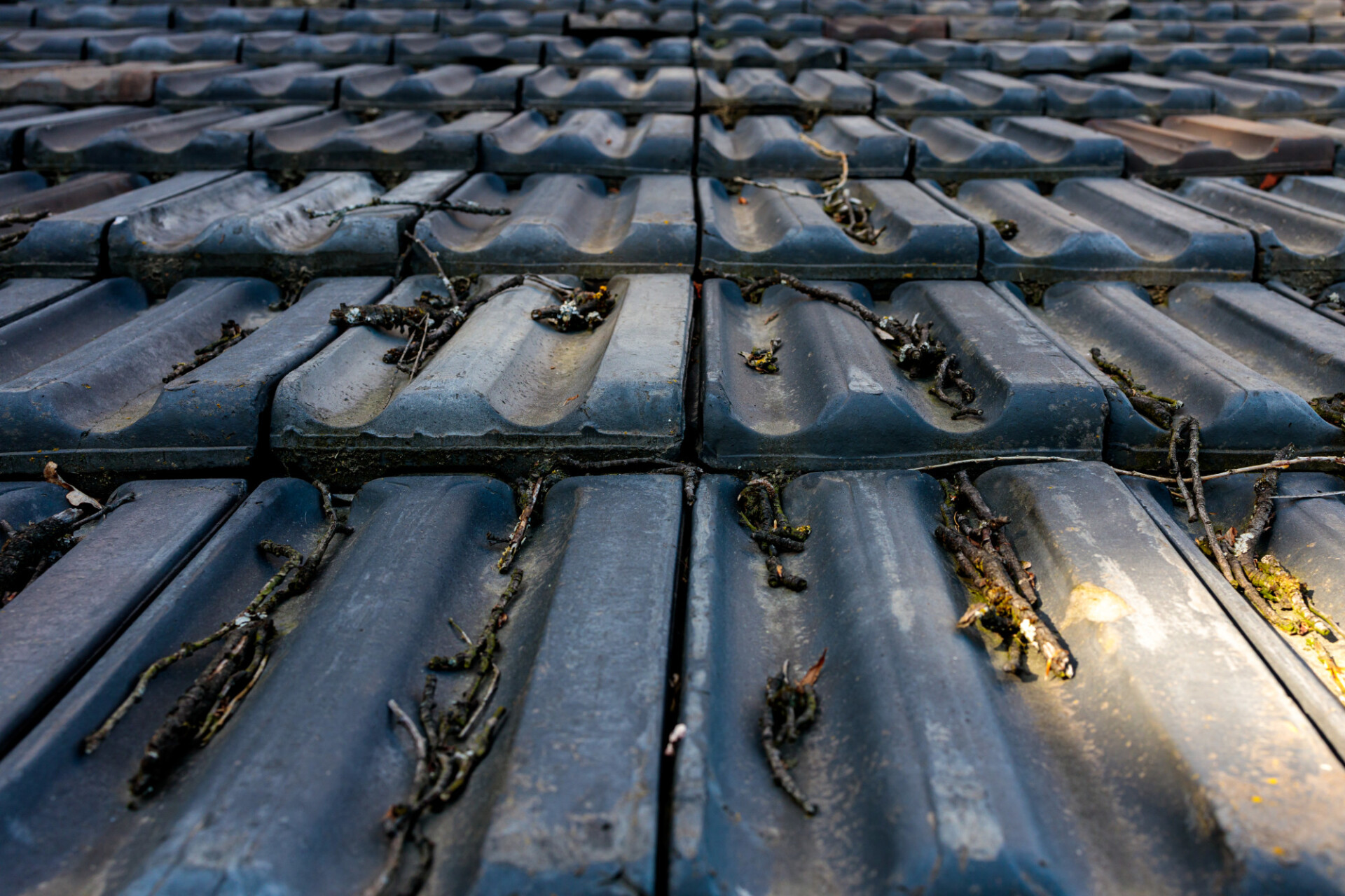 Roof with tiles