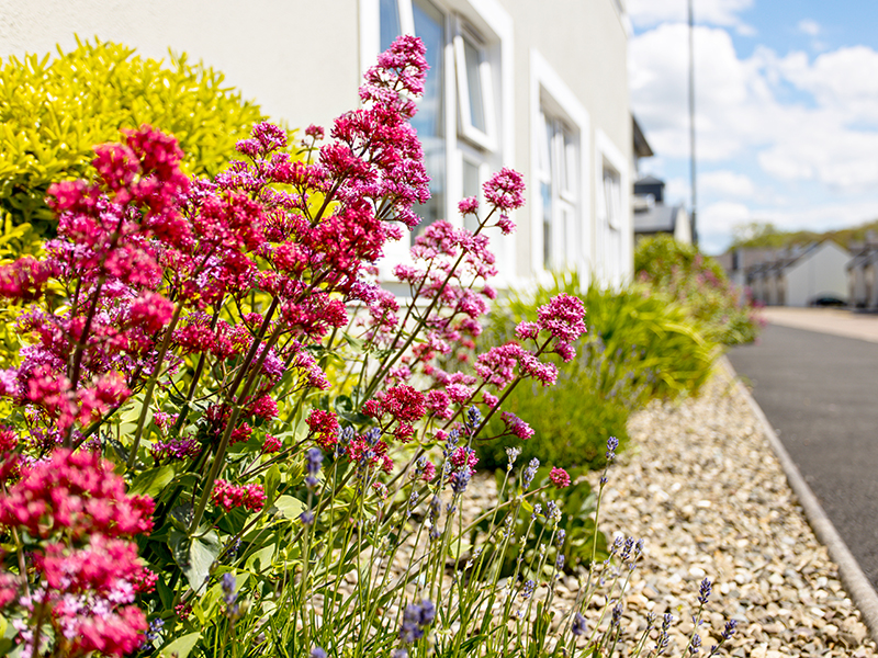 Kilrush Nursing Home Co Clare Memory Care Garden Elderly care