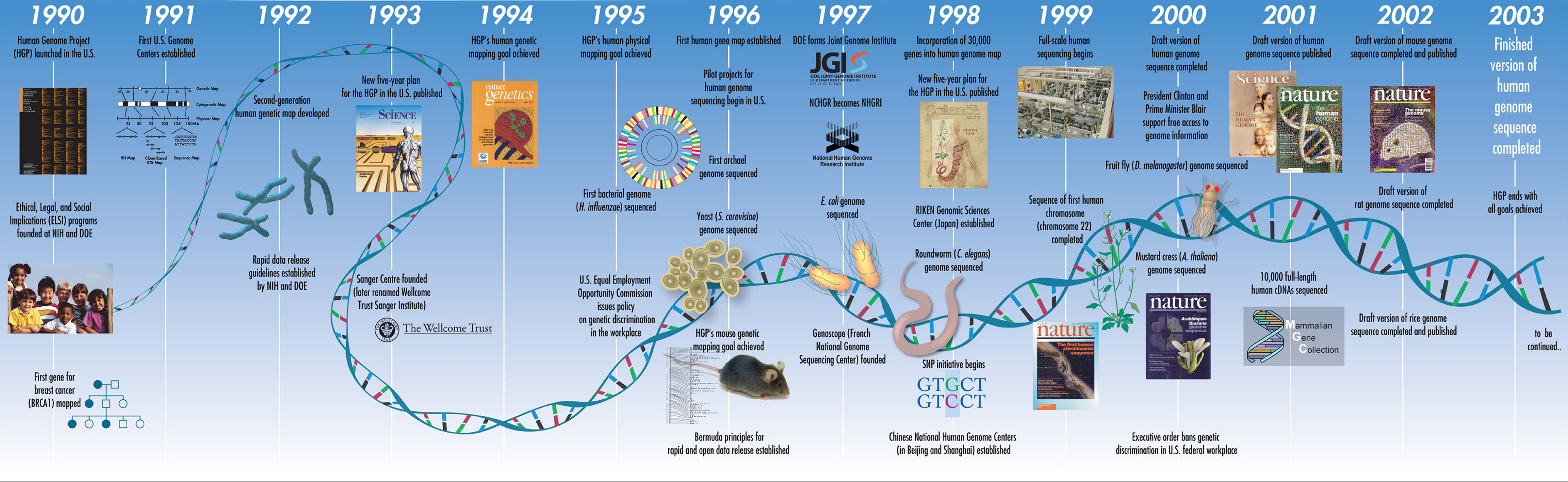 Human Genome Project Map