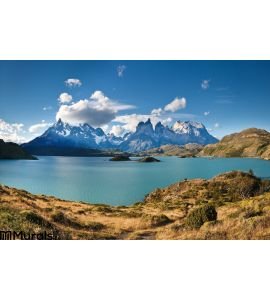 Torres Del Paine National Park Lake Pehoe Wall Mural