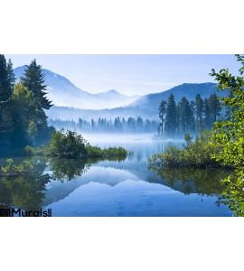 Morning Mountain Mist Wall Mural