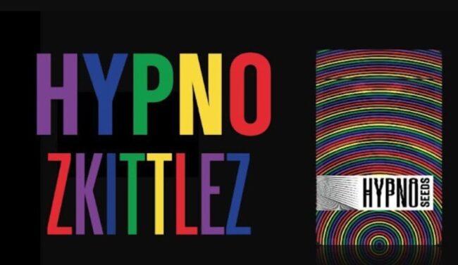 All about Hypno Zkittlez - 2023 Guide - Music Raiser