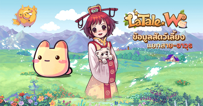 สรุปสัตว์เลี้ยงในเกม LaTale W แบบแยกสาย สะดวกสบายแน่นอน