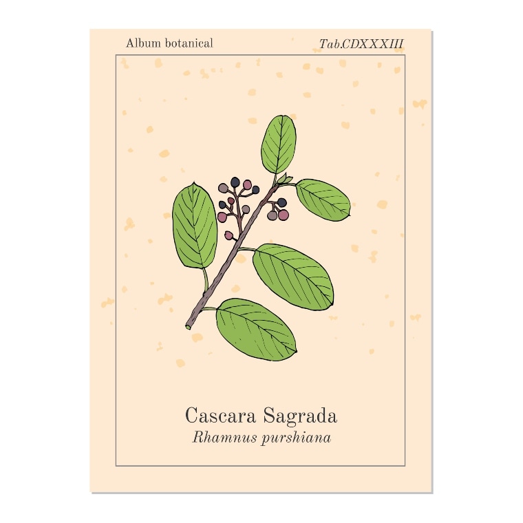 Cascara Sagrada