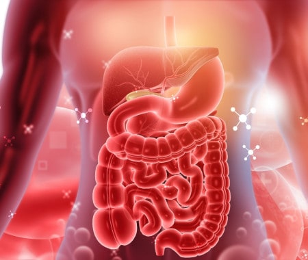 Termogenesi indotta dalla dieta