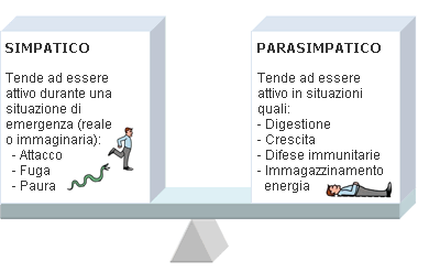 Sistema simpatico e parasimpatico