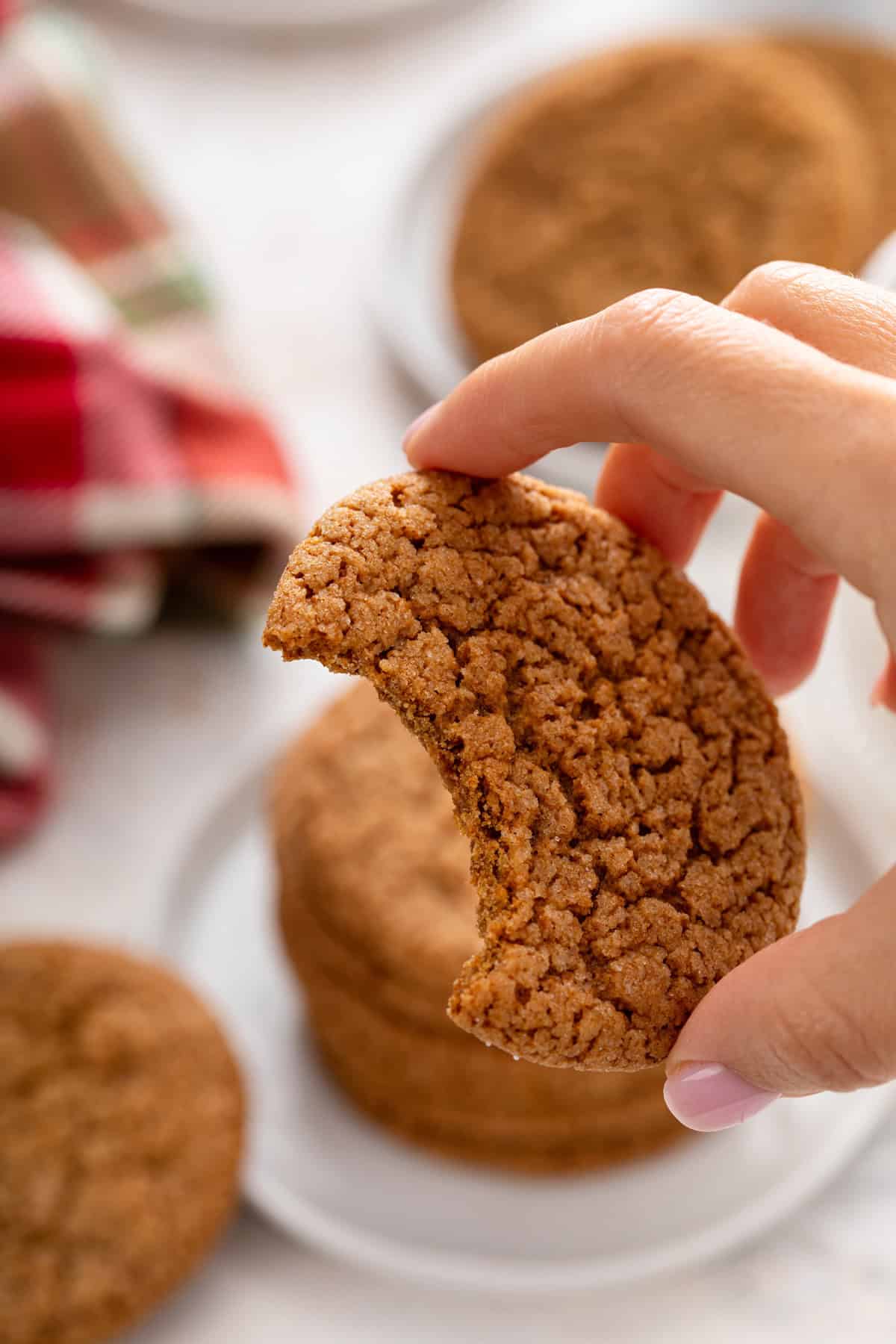 Hand holding up a gingersnap cookie with a bite taken from it.