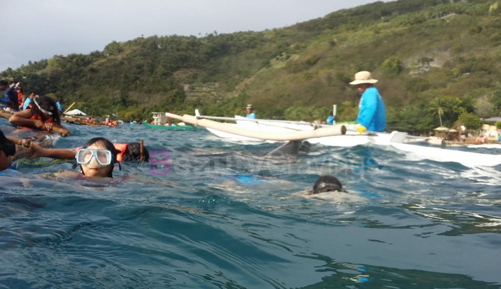 Whale Sharks Oslob