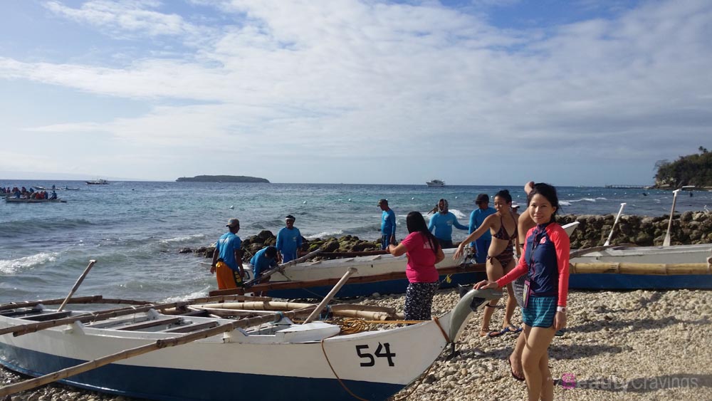 Whale Sharks Oslob