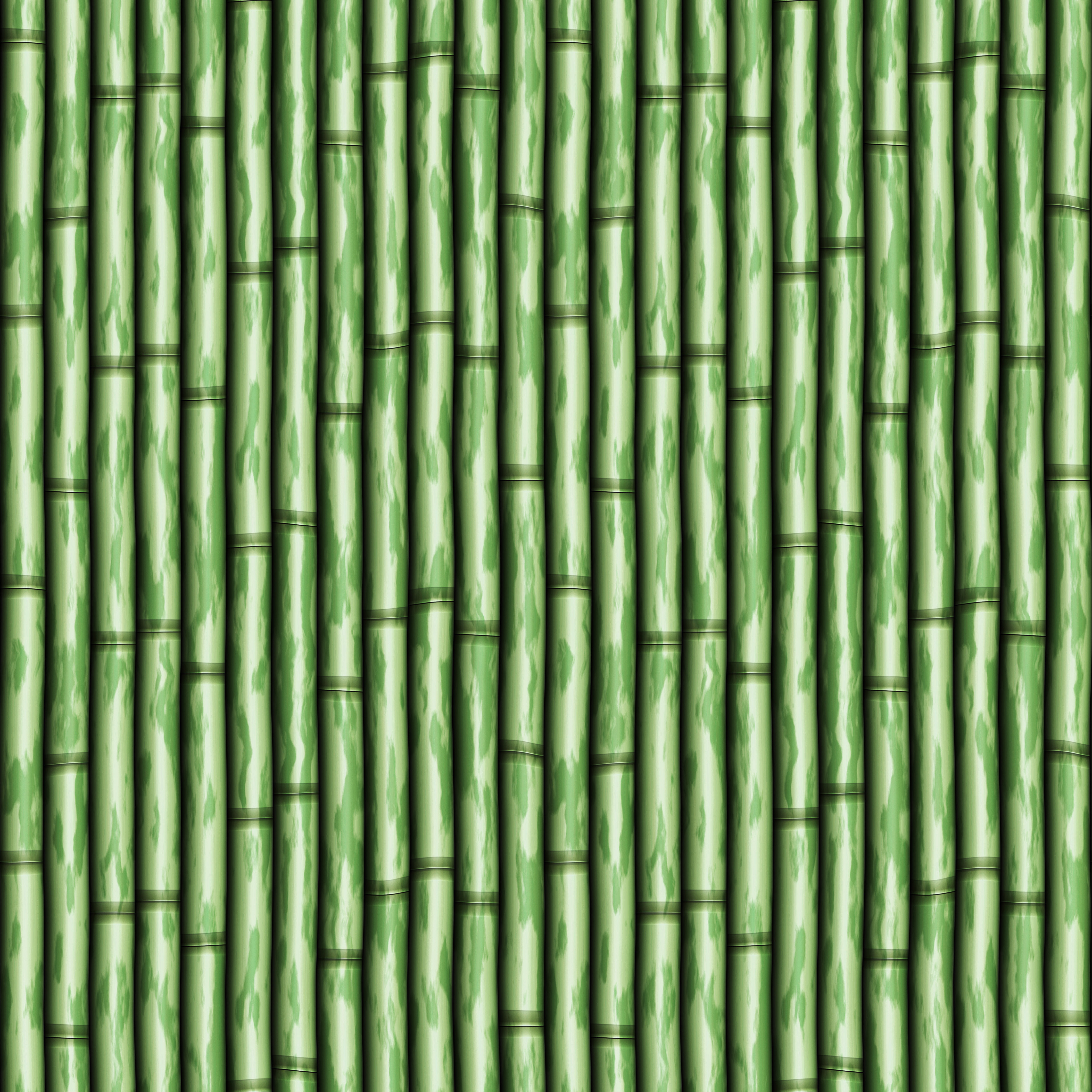 bamboo background of poles as a wall or curtain