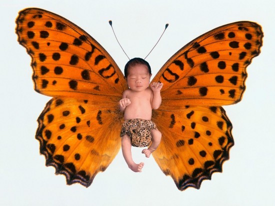 Butterfly Baby