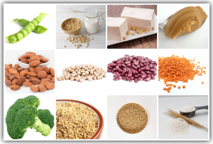 The Best Protein Sources for Babies and Kids - Plant and Animal Based