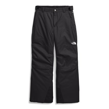 The North Face Big Boys' Freedom Insulated Pants