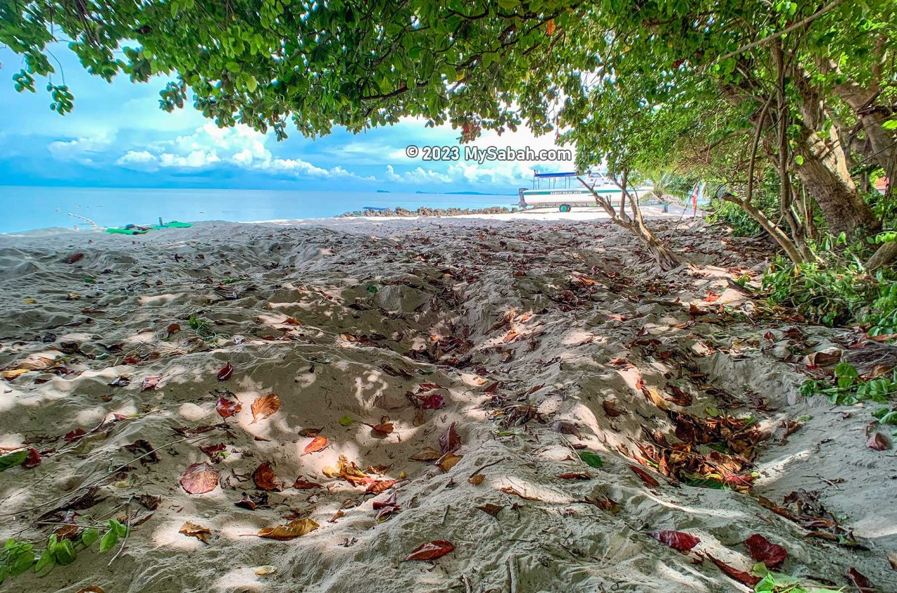 Nesting pits dug by the sea turtles for laying their eggs on the beach