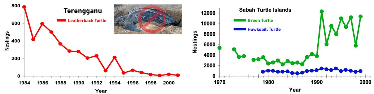 Nesting trends of sea turtles in East and West Malaysia