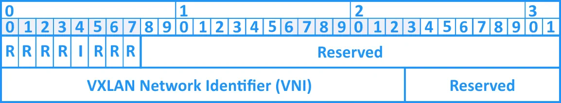 A VXLAN header that is used for VMware NSX-v overlay encapsulation.