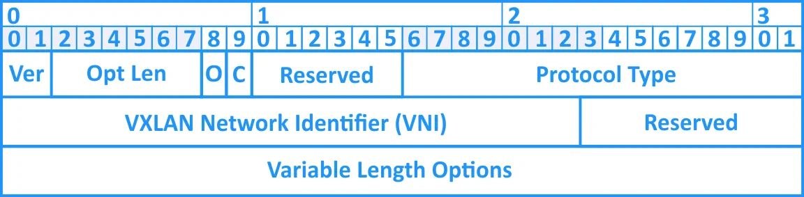 The GENEVE header that is used for VMware NSX-T overlay encapsulation.