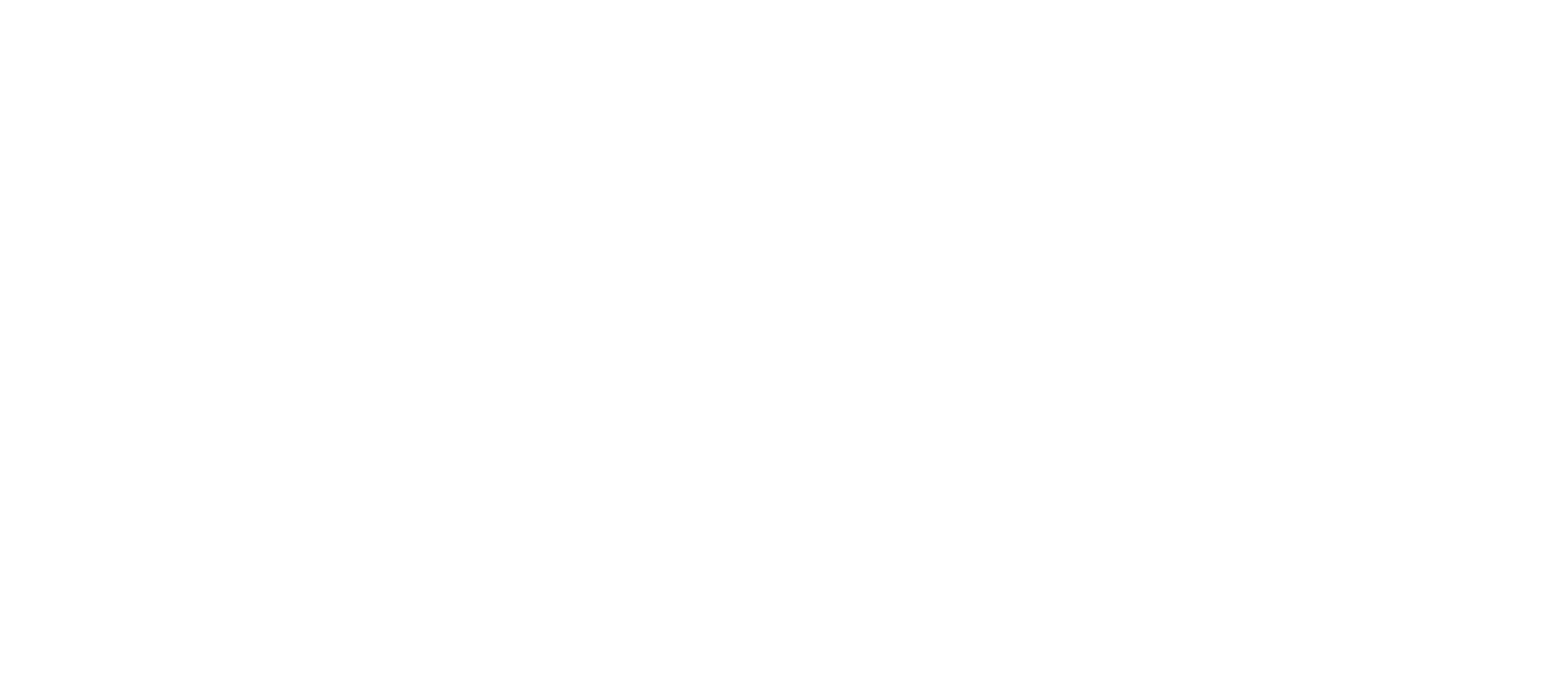 nami logo