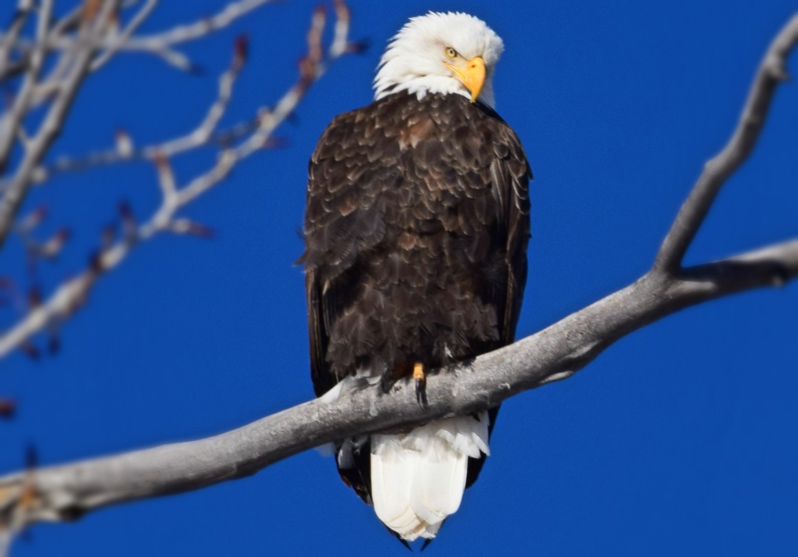 Bear River State Park, a Wyoming State Park located near Evanston