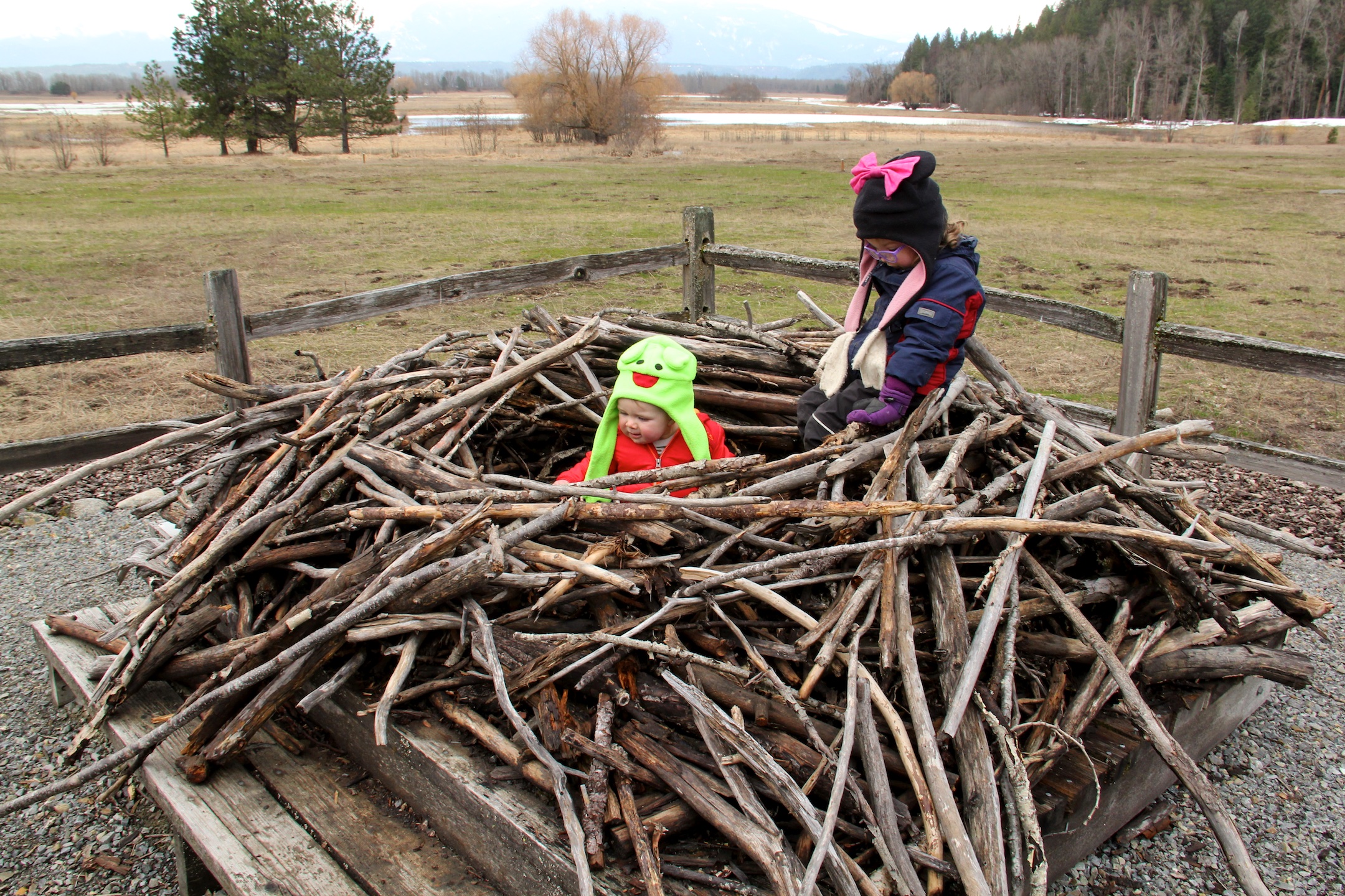 Bald Eagle nest replica