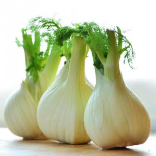 Harvested fennel.