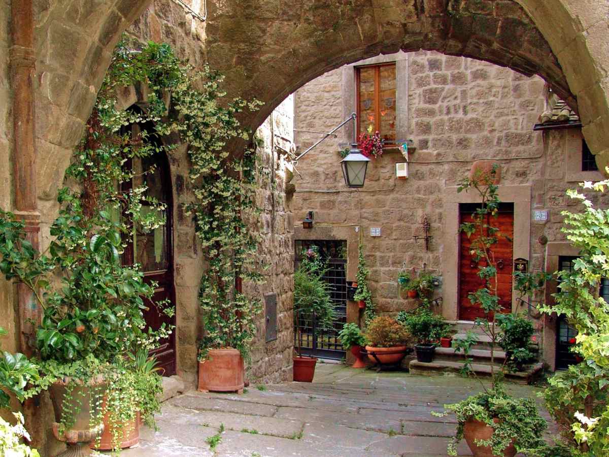 Plants for a shaded courtyard