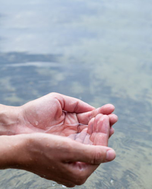 hands scooping up water