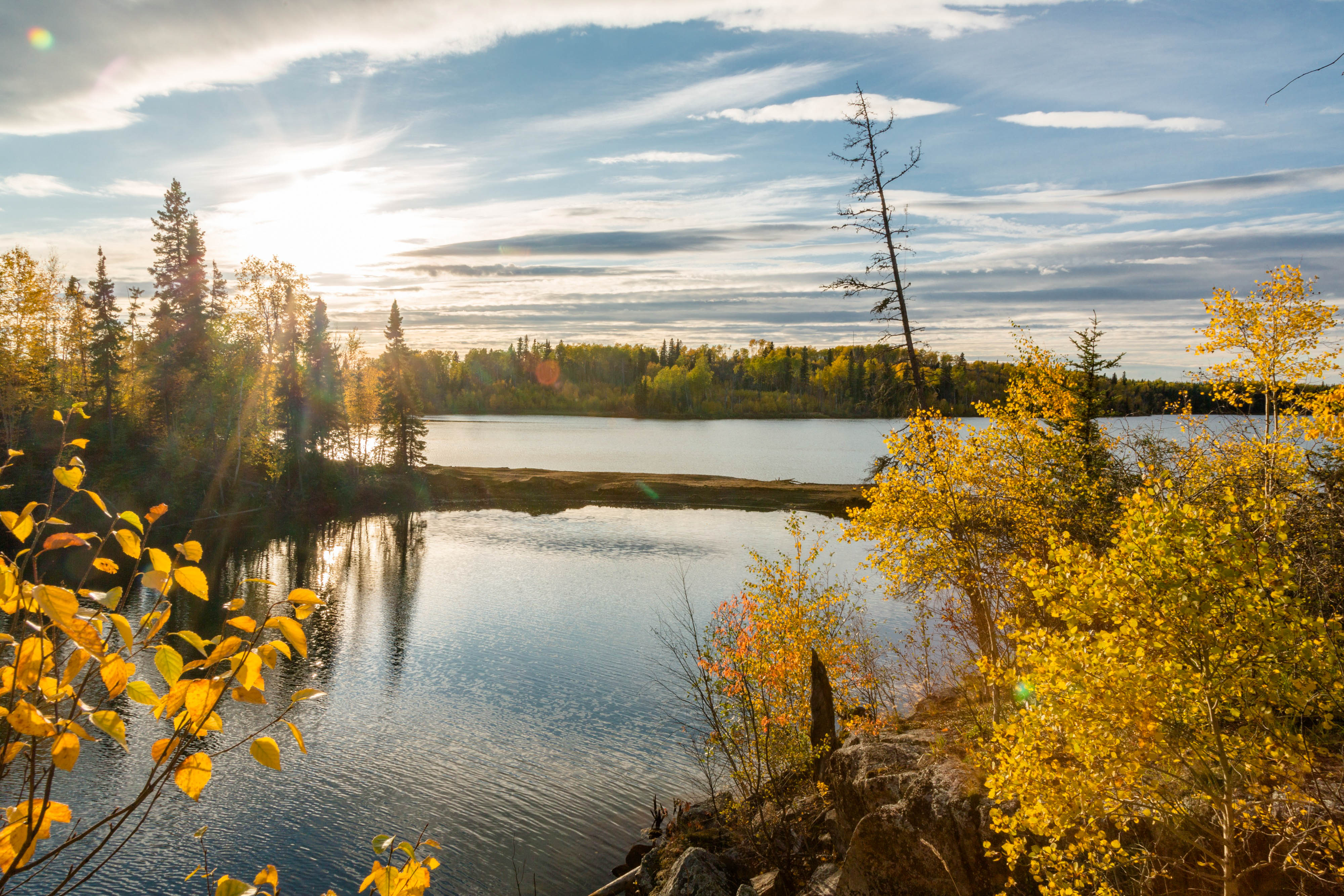 Infographic showing the way we work to support Indigenous-Led conservation in Boreal Manitoba.