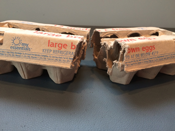 Egg carton cut in half 