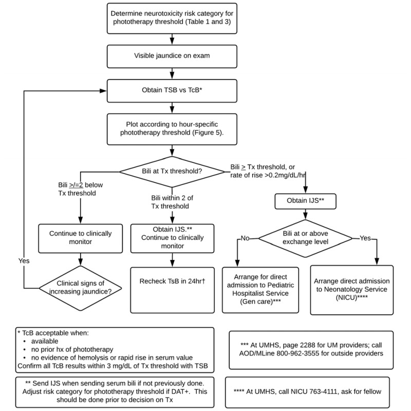 Hyperbilirubinemia Neonatal Neonatal Hyperbilirubinem - vrogue.co