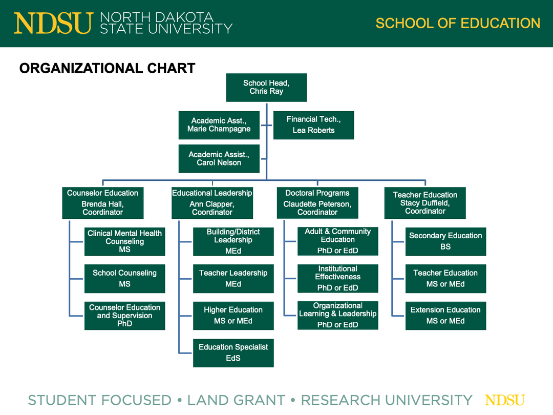 Texas DSHS Organizational Chart