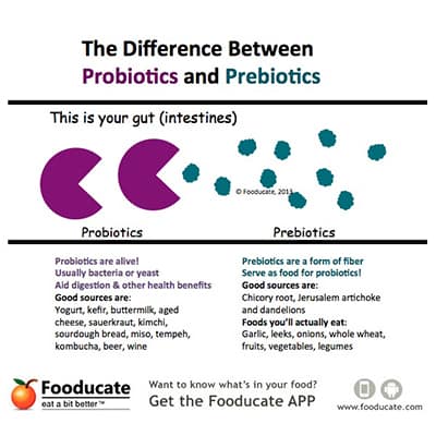 Pebiotics vs probiotics 