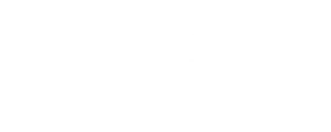 capitalone-1-300x120-1