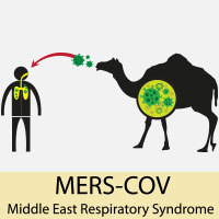 Middle East Respiratory Syndrome (MERS): Causes, Symptoms And Treatment