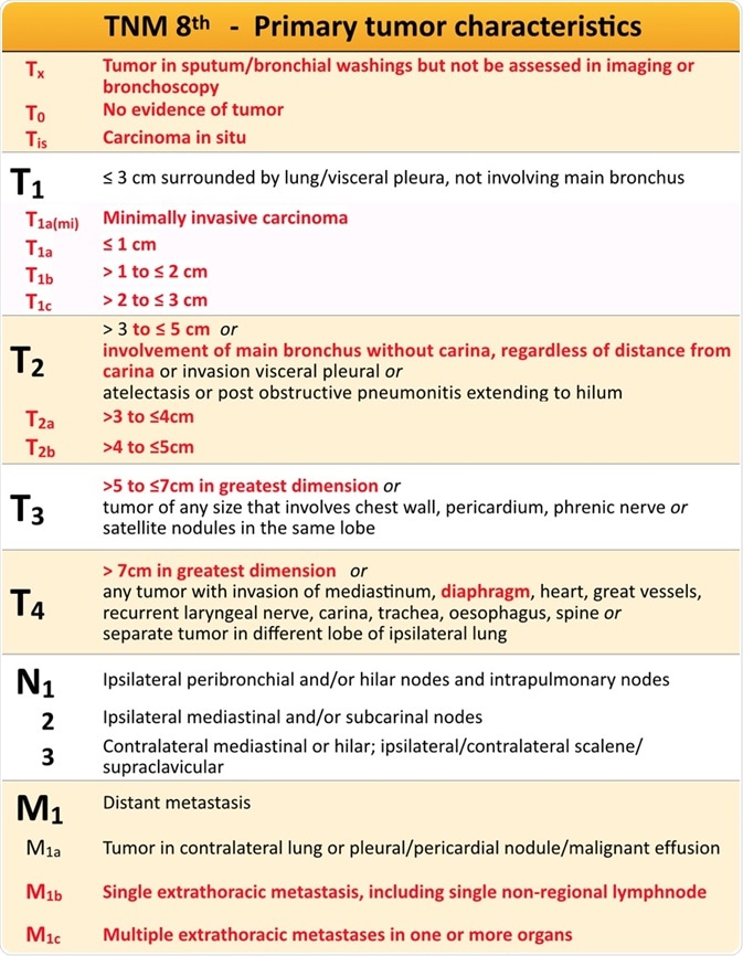 Stages of Lung Cancer